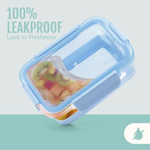 Duraglass Refresh 3.4 Cup Meal Prep Containers (Garden Goals with Boot / 3.4 Cup)