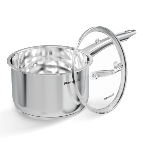 Stainless Steel Saucepan