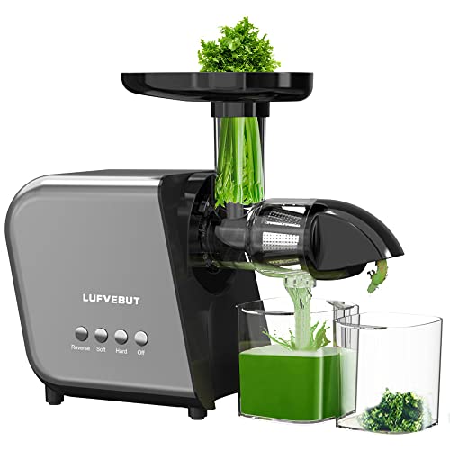 Cold Press Masticating Juicer 250W Slow Extractor for Whole Celery & Carort (Sliver)