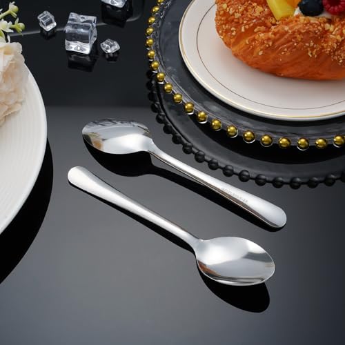 Windsor 60 Pcs Stainless Steel Dinner Spoons (60-piece Dinner Spoon)