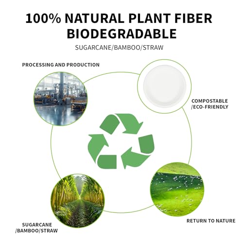 Compostable Paper Plates 9 Inch (Brown)