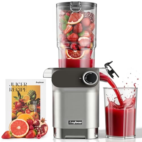 Cold Press Juicer 200W Masticating Slow Juicer 4.3" Large Feed Chute Fit Whole Fruits Vegetables (Silver)