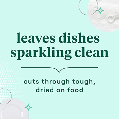 Dish Soap Liquid Lavender Flower & Mint Scent 1 Dishwashing Soap Dish Detergent Liquid Soap 19 oz (19 Fl Oz (Pack of 1))