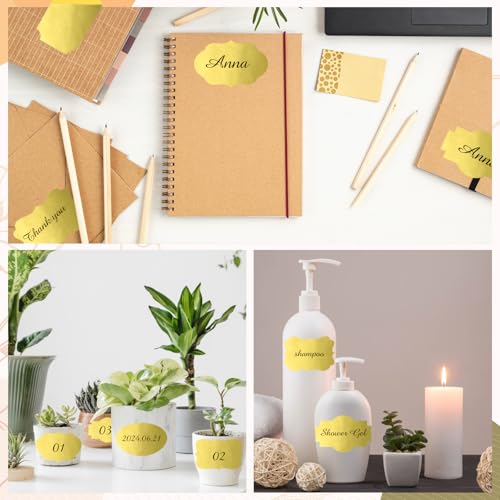 Gold Labels 250 PCS 3" x 2" Fancy Shape Stickers for Storage Box or Food Jars