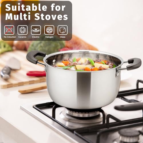 3 Qt Stockpot with Lid (3 Qt)