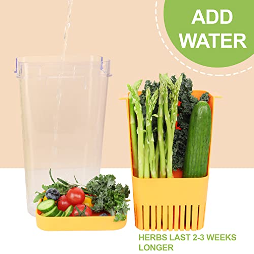 Fresh Herb Keeper for Refrigerator (Herb Keeper - Orange)