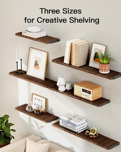 Amada Solid Paulownia Wood Wall Shelves (Brown / Large)