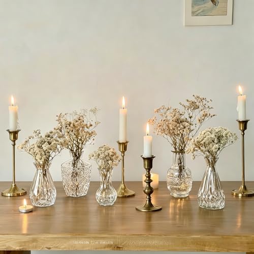 Glass Bud Vase Set of 5 Pcs Small Minimalist Vases for Flowers (Clear)