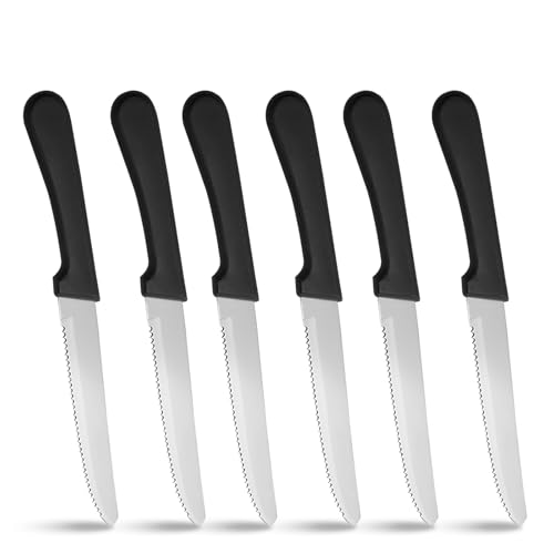 36 PCS Steak Knife Set (36PCS Steak Knife)