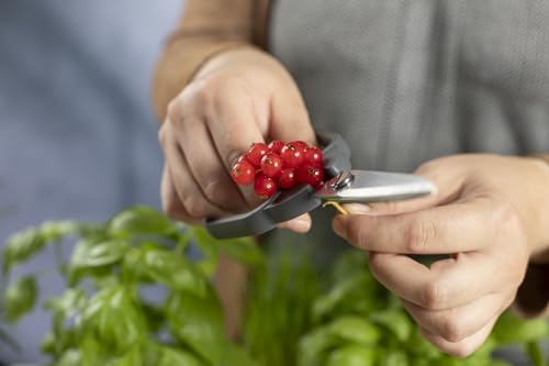 Kitchen Shears Compact (Classic)