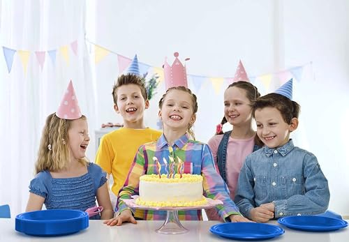 Sturdy Dark Blue Plastic Plates 10" Party Plates 100 Pcs (10 inch / Dark Blue)