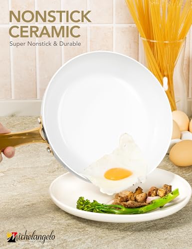 Large Frying Pan with Lid (Pure White / 14 inch)