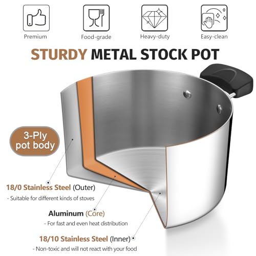 8 Qt Pot with Lid (8 Quarts)