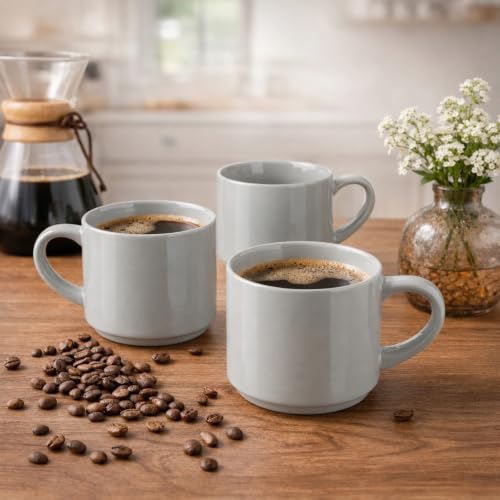 14 OZ Coffee Mugs Set of 6 (Gray / Set of 6(14 Ounces))