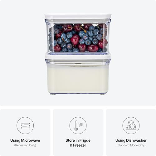 Premium Airtight Food Storage Containers (OT-10RX2PCS)