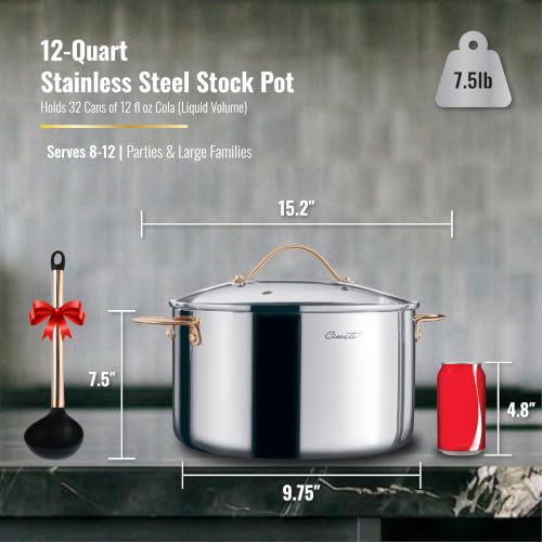 Stock Pot 12 Quart (Stock Pot / 12 Quart)
