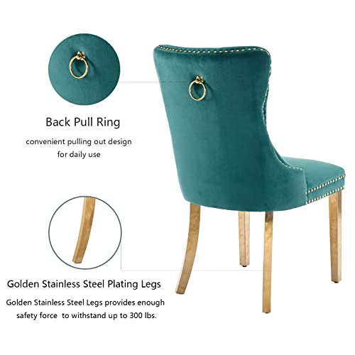 Green Velvet Dining Chairs Set of 2 (Natural Green)