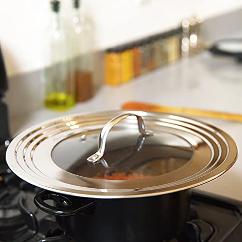 Stainless Steel Universal Lid for Pots (Silver Handle)