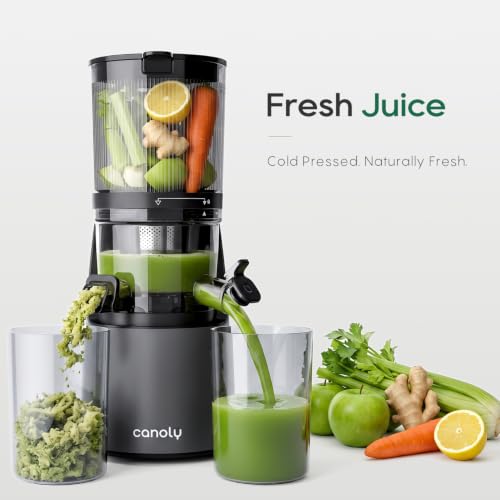 3-in-1 Cold Press Juicer C16, Makes Juice & Sorbet & Nut Milk (Space Gray)
