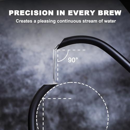 Electric Gooseneck Kettle with Thermometer (BLACK)