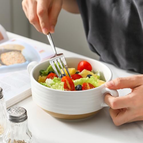 Ceramic Soup Bowls with Handles (White / 20oz - 6pcs)