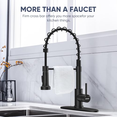 Black Kitchen Faucet with Pull Down Sprayer (Matte Black)