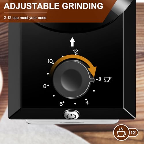 Electric Burr Coffee Grinder (Black+Gray)