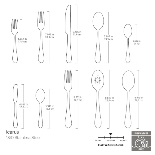 Icarus 45 Piece Flatware Set (45-Piece Flatware Set)