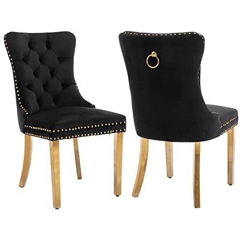 Black and Gold Velvet Dining Chairs Set of 2 (Standard Black)