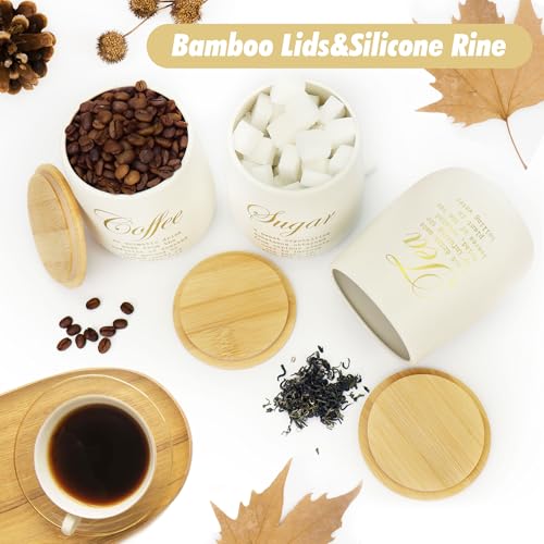 Coffee Tea Sugar Container Set of 3 (CLS-Coffee-3)