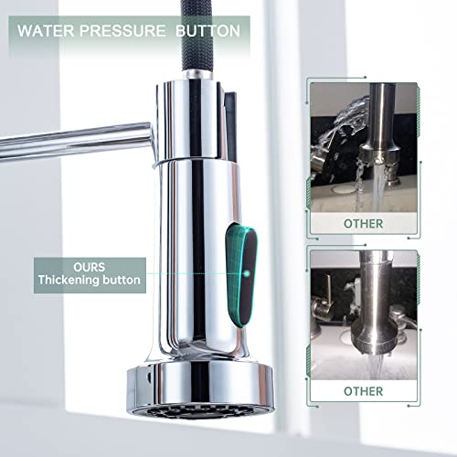 Pull Down Kitchen Faucet (Polished Chrome)