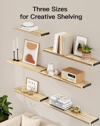 Amada Solid Paulownia Wood Wall Shelves (Wooden / Large)