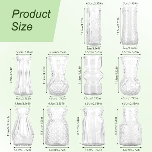 Glass Bud Vase Set of 10 Pcs