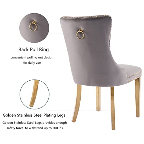 Grey Velvet Dining Chairs Set of 2 (Classic Gray)