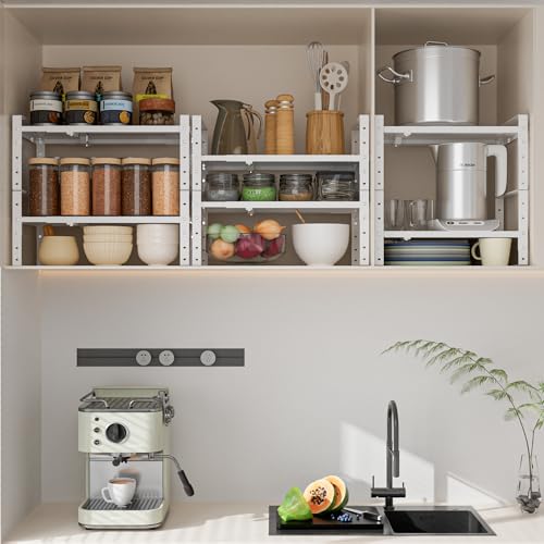 Expandable Adjustable & Stackable Spice Rack (White / 2PACKS/WHITE/LARGE)