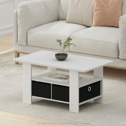 Andrey Small Modern Coffee Table with Storage Shelf (White/Black / 2 Bin)