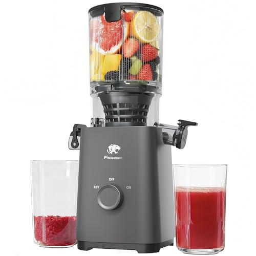 Cold Press Juicer Machines (Grey)