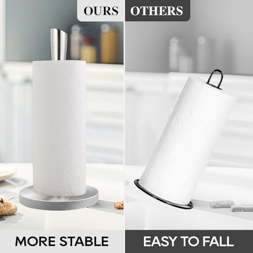 Stainless Steel Paper Towel Holder (Sliver Stainless Steel)