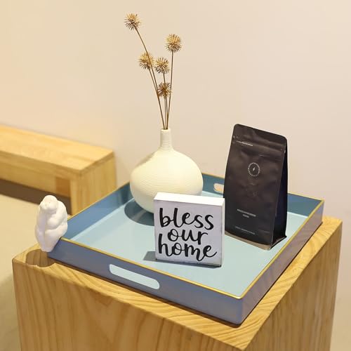 Light Blue Decorative Tray for Living Room (Bs002r)