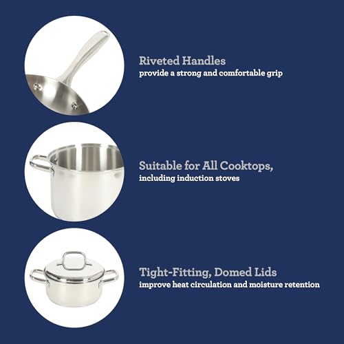 Platinum Sedwick 10 (Stainless (Sedwick) / 10-Piece Cookware Set)