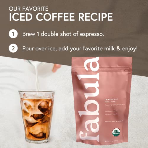 Coffee Light Roast Freshly Ground (12 Ounce (Pack of 1))