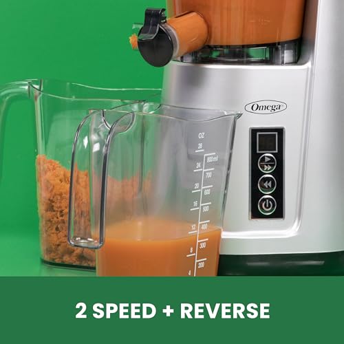 Juicer Cold Press 365 Vertical 65 RPM Slow Masticating Compact Extractor for Fruits and Vegetables with 3 Stage Auger & BPA (Silver Vertical)