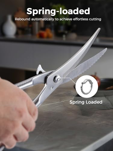 Poultry Shears (Silver-full Steel)