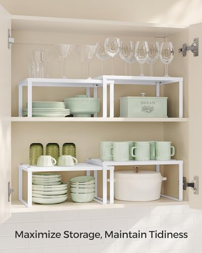 Set of 2 Metal Spice Racks (White / 2 Tiers (9"D x 12.6"W))