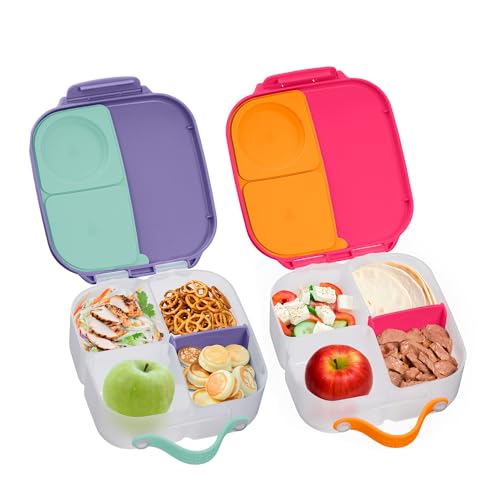 Mini Lunch Box 2
