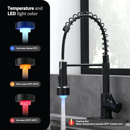 LED Kitchen Faucet (Matte Black)