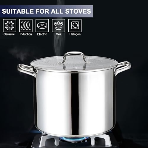 20 QT Stainless Steel Large Stock Pot (20 Quarts)