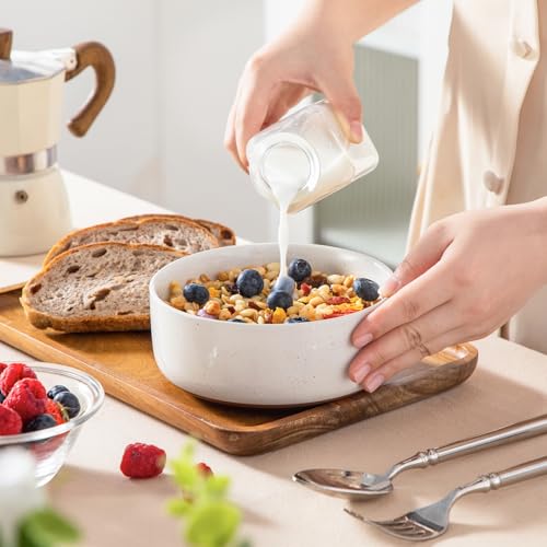 Cereal Bowls Set of 6 (6 Count)