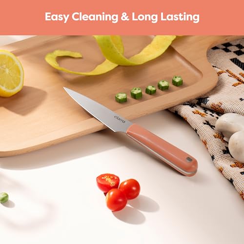 Professional Kitchen Knife Set 4 PCS (Orange)