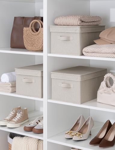 Fabric Storage Bins with Lids (Khaki Stripe / Large)
